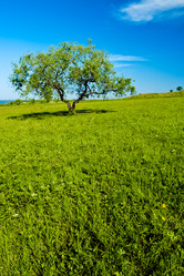 Similar image 1436278