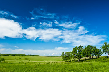 Similar image 1436279