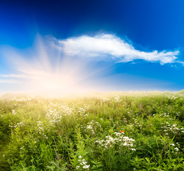 Similar image 1436281