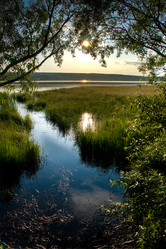 Similar image 1436282