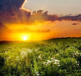 Similar image 1436283