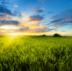 Similar image 1436284