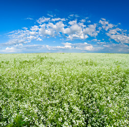 Similar image 1436288