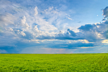 Similar image 1436289