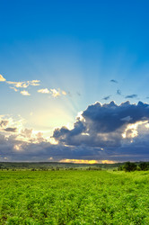 Similar image 1436292