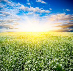 Similar image 1436293