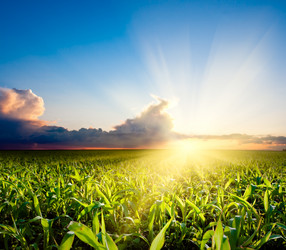 Similar image 1436304