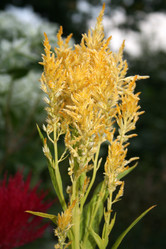 Similar image 1436313