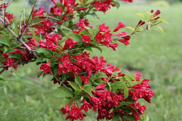 Similar image 1436314