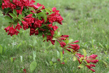 Similar image 1436315