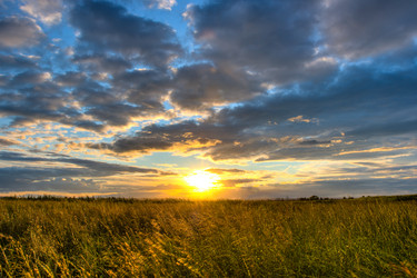 Similar image 1436316