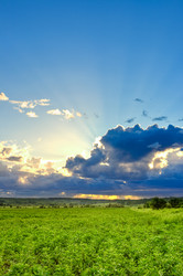 Similar image 1436319