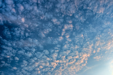 Similar image 1436322