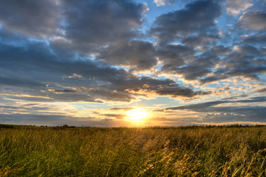 Similar image 1436324