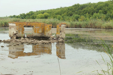 Similar image 1436331