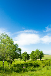 Similar image 1436337