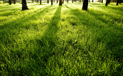 Similar image 1436339