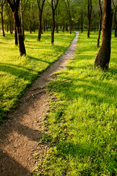 Similar image 1436344