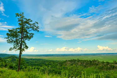 Similar image 1436354