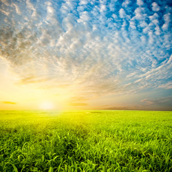 Similar image 1436358