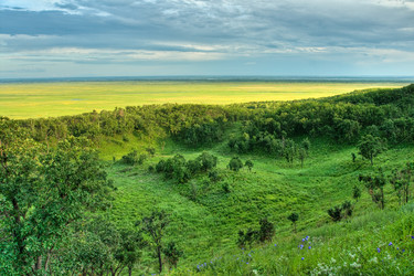 Similar image 1436361