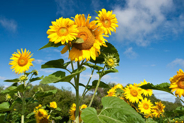 Similar image 1436408