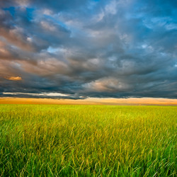 Similar image 1436414