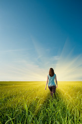 Similar image 1436419