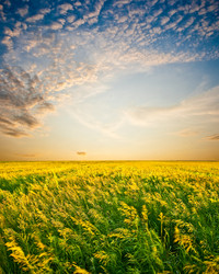 Similar image 1436423