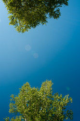 Similar image 1436426