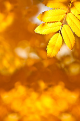 Similar image 1436432