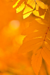 Similar image 1436436