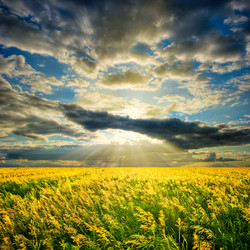 Similar image 1436441