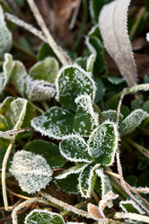 Similar image 1436445