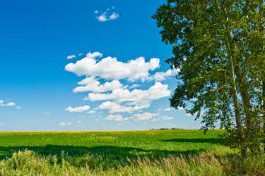 Similar image 1436446