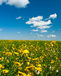 Similar image 1436447