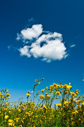 Similar image 1436448