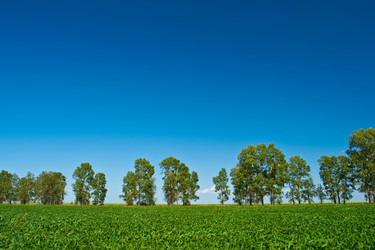 Similar image 1436452