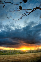 Similar image 1436455