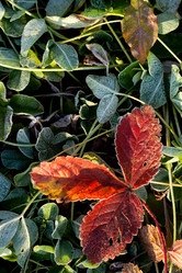 Similar image 1436458