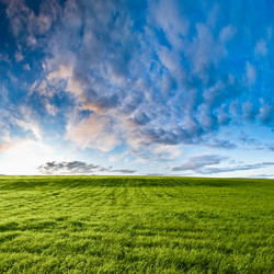 Similar image 1436464