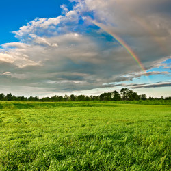 Similar image 1436471