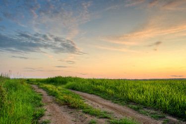 Similar image 1436475