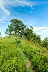 Similar image 1436480