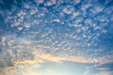 Similar image 1436483