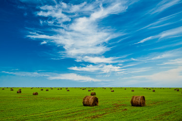 Similar image 1436486