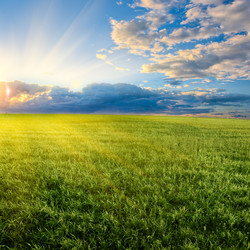 Similar image 1436489