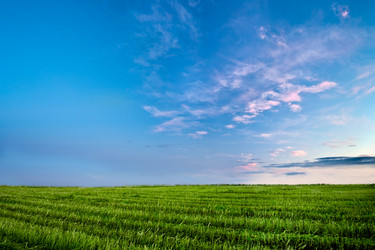 Similar image 1436496