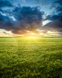 Similar image 1436497