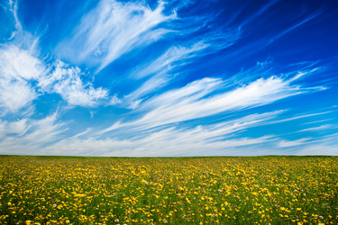 Similar image 1436503